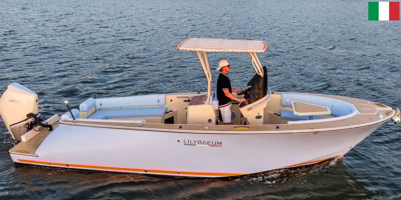 27' 2026 Picnic Boat Image 2