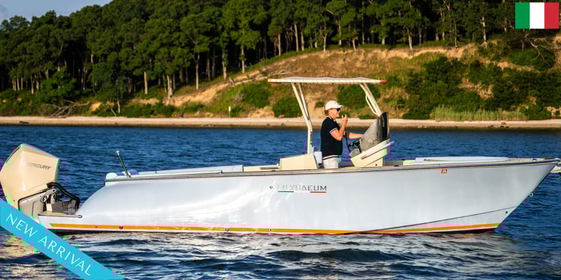 27' 2026 Picnic Boat Image 1