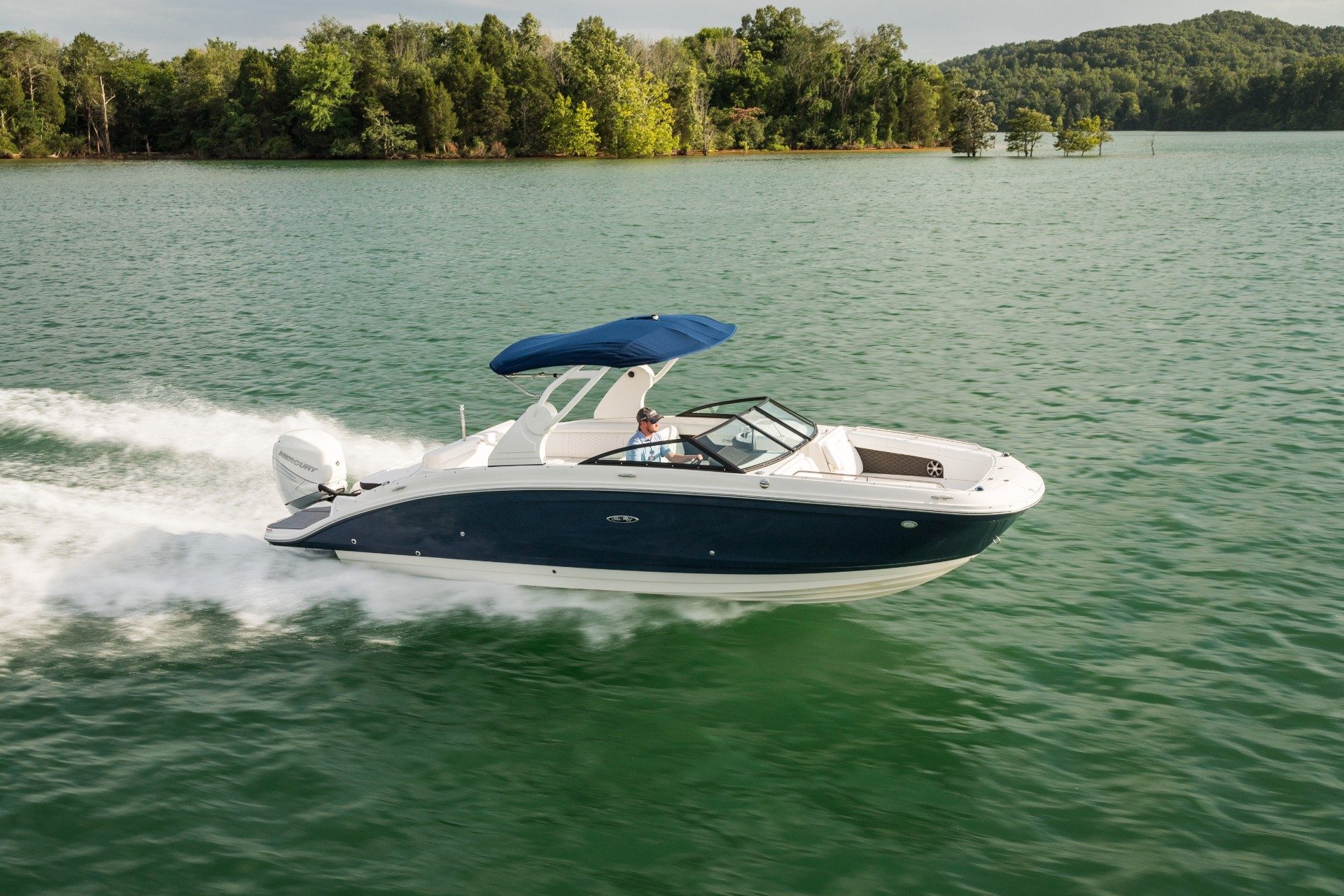 27-searay-1