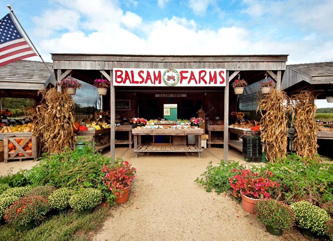 Balsam-Farms