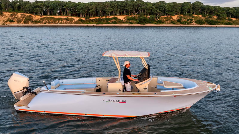 27' 2026 Picnic Boat Image 3