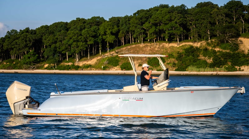 27' 2026 Picnic Boat Image 2