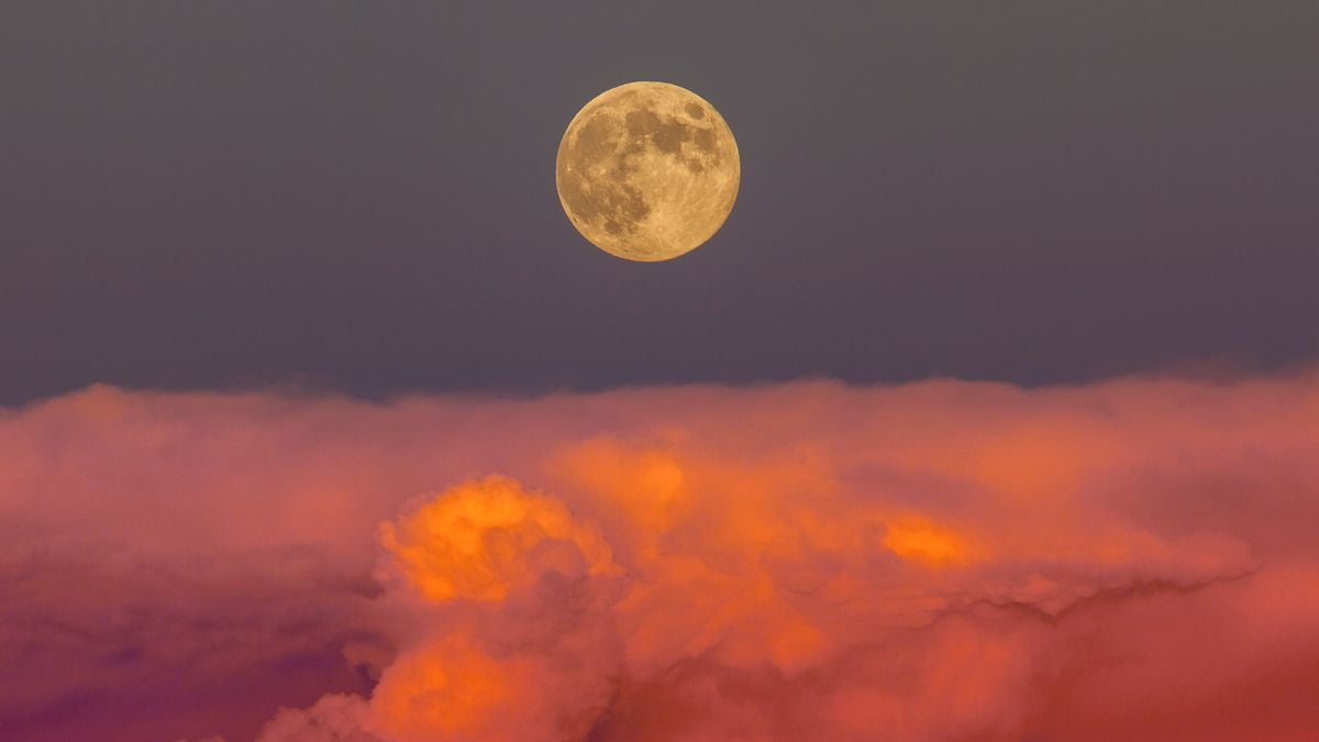 Hamptons Full Moon Schedule 2024