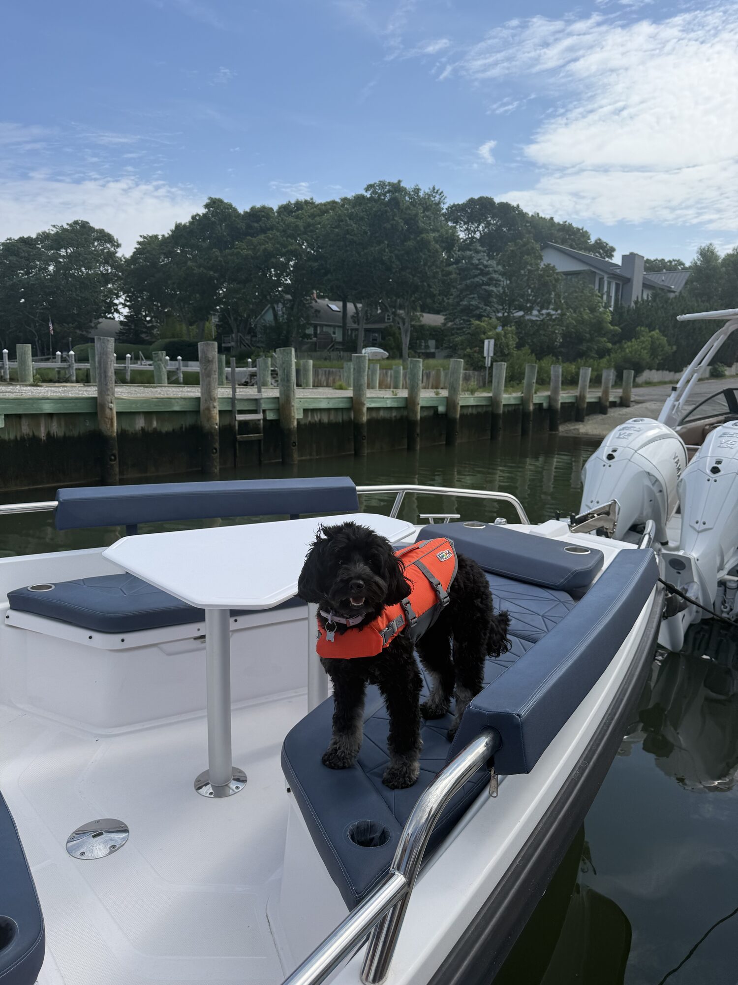 Ship's dog in a life vest aboard a center console at the dock