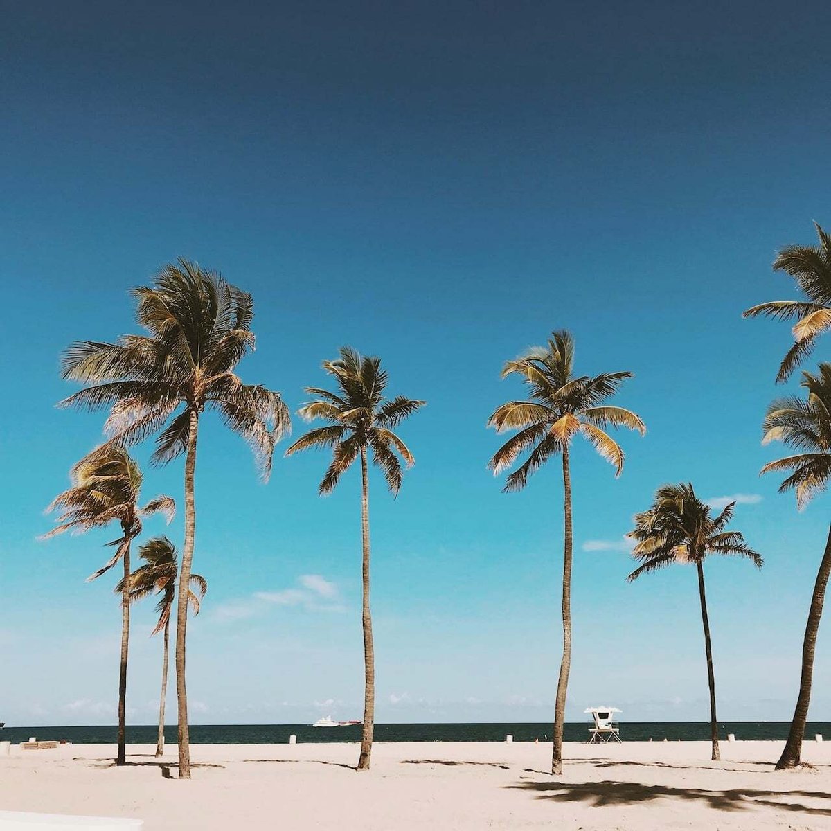 Palm Beaches