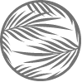palms-icon