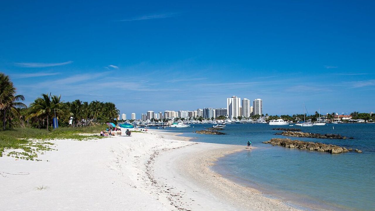 Peanut Island Boat Trip