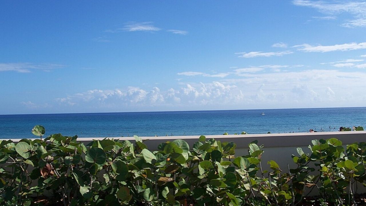 Boynton Inlet Boat Tour