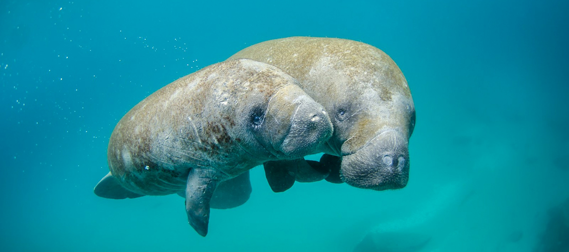 Iconic Waterfront Sights