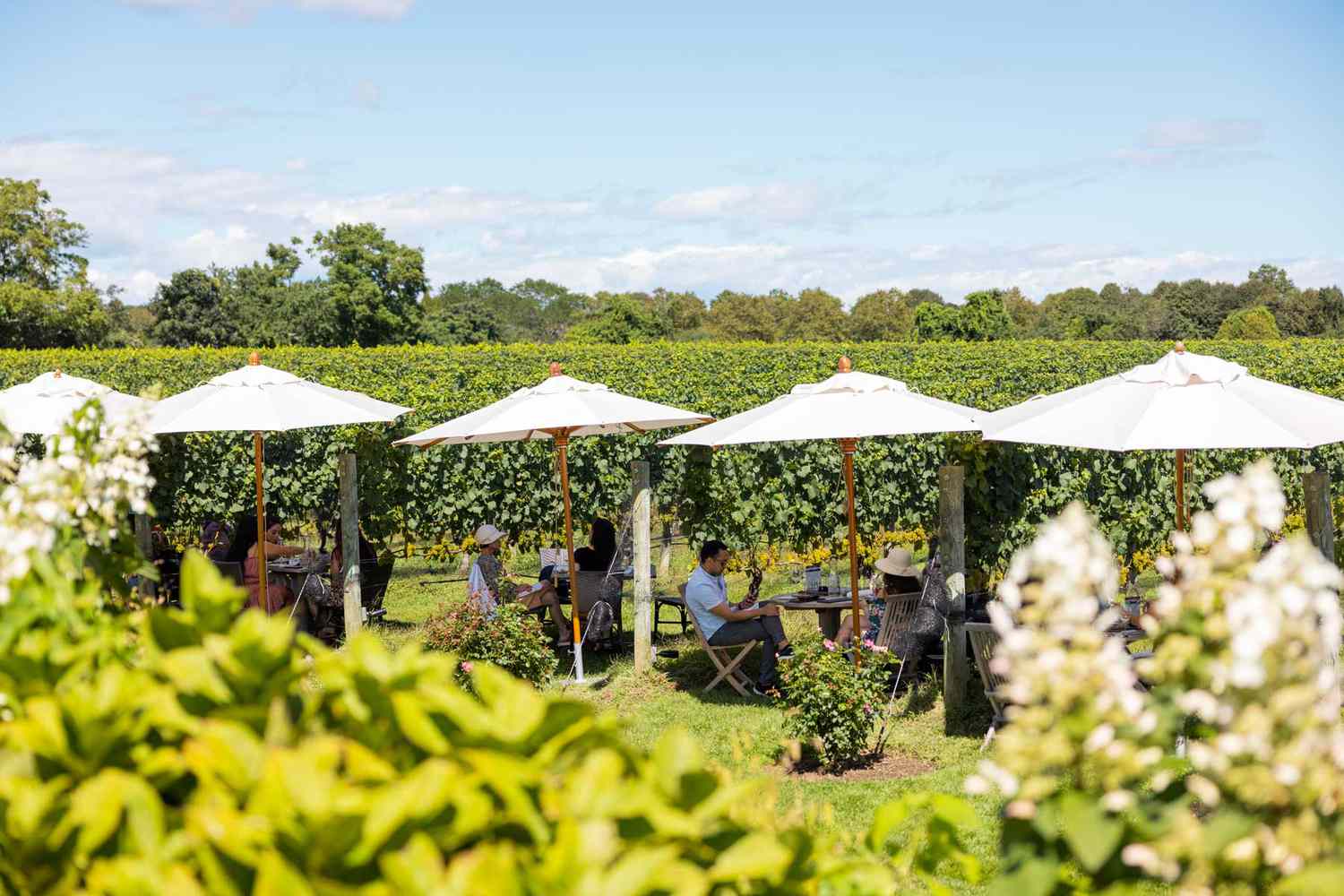 Top 3 Wine Tasting Tours for Hamptons Bachelorette Parties